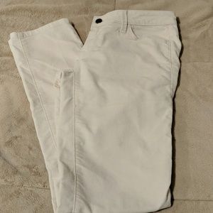 Loft Off White Courdoroy Pants